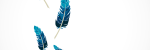 feather-1689331